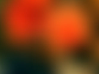 The Flowers Bloom Free