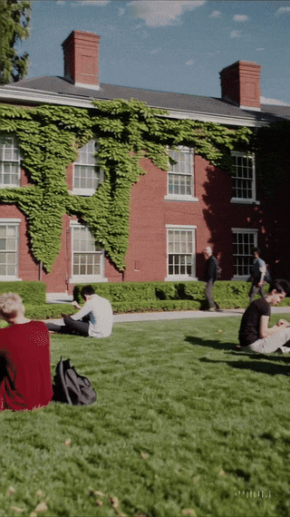 20250210_1048_Vibrant Campus Life_remix_01jkrfmq7yfxev163azxp8646b (1).gif
