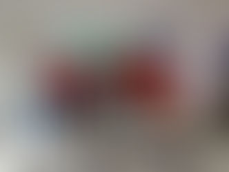 Febrabom Realizou Capacitação em Emergências Químicas e Biológicas.