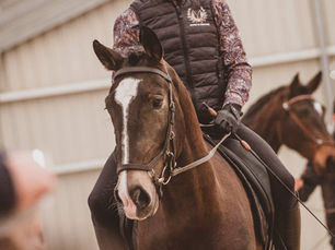 PARTICIPATION AU SALON CHEVAL PASSION 2023