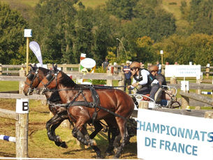 CHAMPIONNATS DE FRANCE 2021 D'ATTELAGE