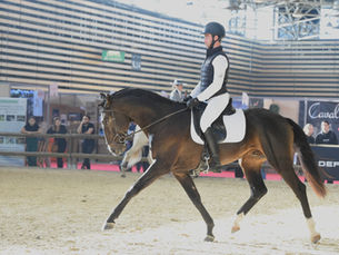 PARTICIPATION AU SALON EQUITA LYON 2022
