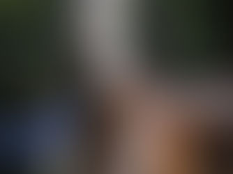 CHAMPIONNATS DE FRANCE 2022 DU LUSITANIEN