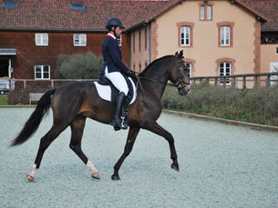 CONFIRMATION MUNDO HARAS DE LA GESSE