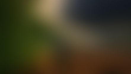 10 Facts About Forest Loss and Weather Extremes