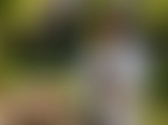 Challenges and Solutions in Cultivated Meat Certification