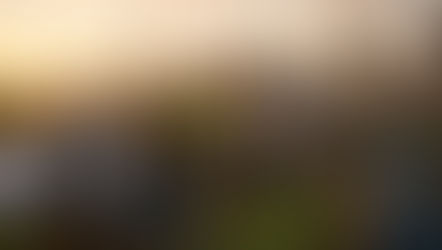 How to Build Trust in Public-Private Partnerships