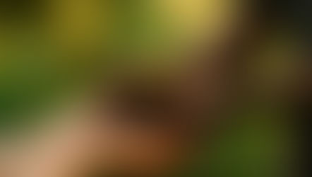 Sentience and Cultivated Meat: Ethical Connections