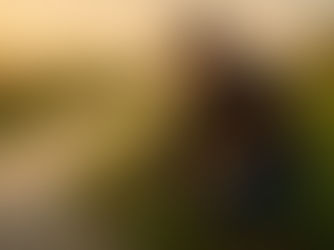 Water Pollution in Farming: Problems and Solutions