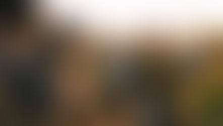 Ultimate Guide to Cultivated Meat Advocacy