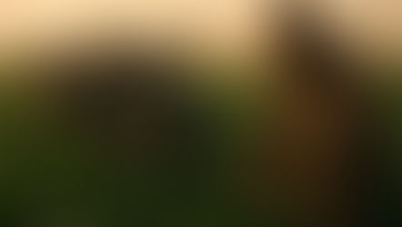 Labour Rights Violations in Industrial Agriculture