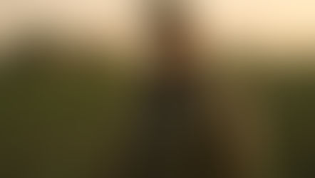 How Industrial Farming Affects Worker Health