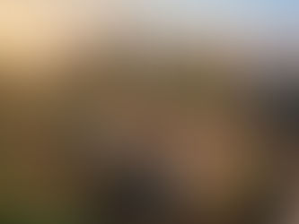 Grassroots vs. Organised Advocacy: Food Systems