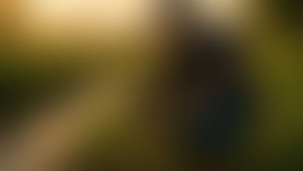 How Pesticides Affect Groundwater Quality