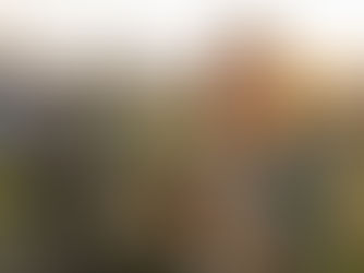 Crafting Social Media Posts for Health-Focused Consumers