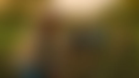 Sustainable Protein Comparison Tool