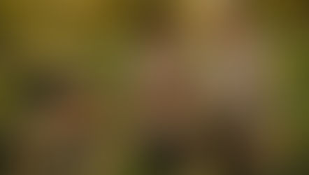 Checklist: Talking About Cultivated Meat by Age Group