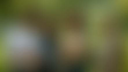 How Media Frames Impact Perceptions of Cultivated Meat