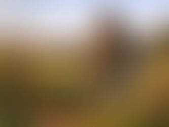 Top 7 Grassland Species Threatened by Grazing