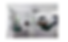 Penduline Properties (1).png