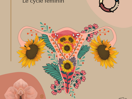 Le cycle féminin 