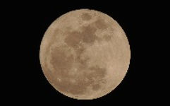 Moon Membership