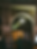 SINGER_02.png