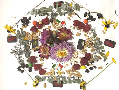 small despacho nature altar_edited.jpg