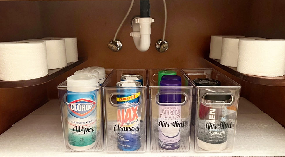 Tissue and containers organization under the sink