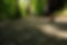 9A5555CF-1B8E-4FE0-A675-3766756AE2E7.jpeg
