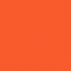 ts bg.png