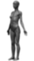 Thumbnail: Female Écorché 290 mm 3D Print