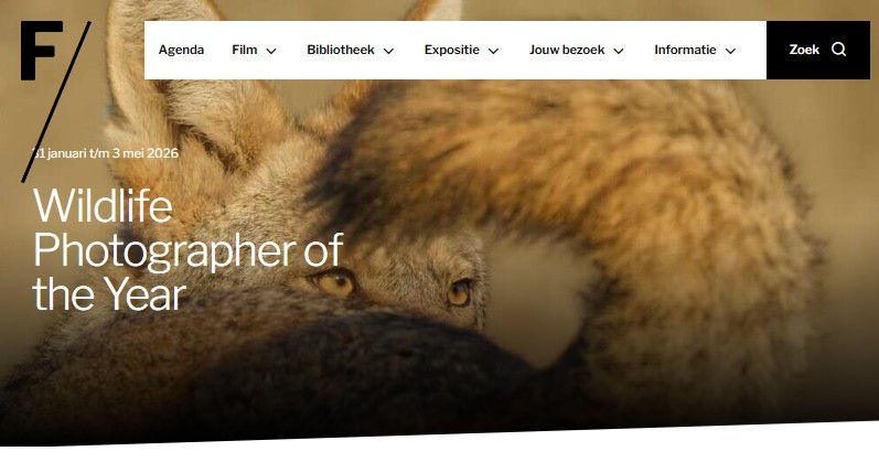 Tentoonstelling Wildlife Photographer of the year in FORUM - 31 jan t/m 3 mei