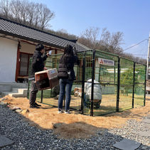 동물농장 동네 유기견 구조 현장(2023.02.24, 금요일)