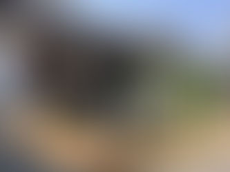 동물농장 동네 유기견 구조 현장(2023.02.24, 금요일)