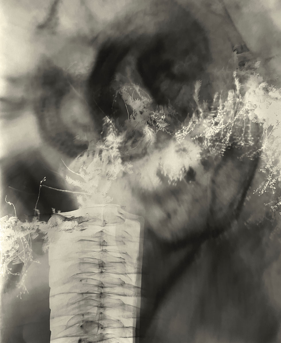still leben XII, 2025, 50 x 40 cm