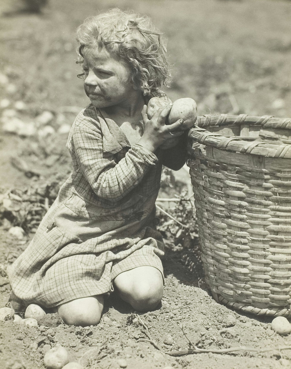 Produkter laget med tvangsarbeid blir forbudt – er dine kontrakter rigget for risikoen?