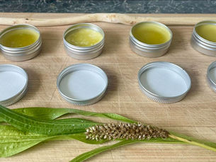 Make a green witch bug balm