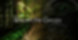 beneath the canopy new banner - website_edited.jpg