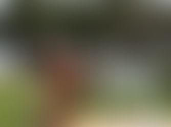 How much time do you spend on the business?