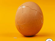 An SPOF could kill your business