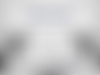 What's the job of a senior partner?