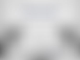 What's the job of a senior partner?