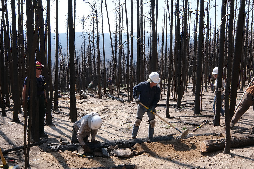 WRV Cameron Peak Trail Restoration 2021