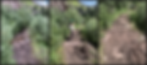 CTF Lime Creek project 2 before & after