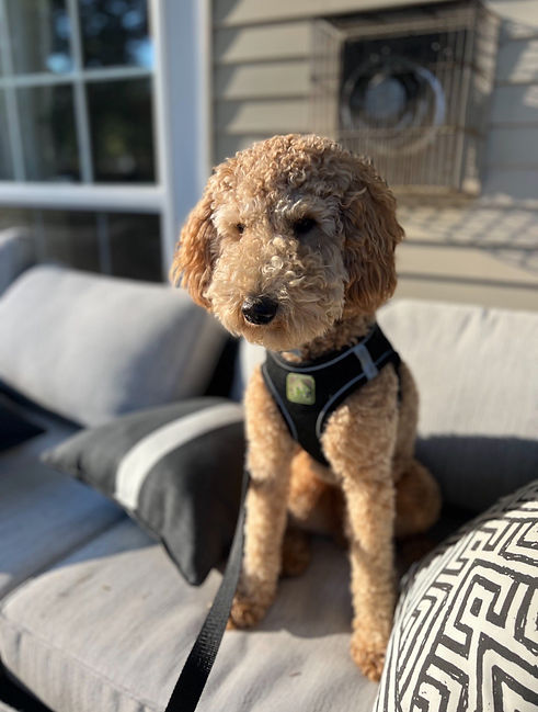 Screenshot 2025-06-09 at 10.45.33 PM.jpeg