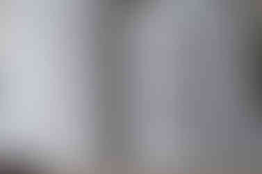 Key people behind Kebun-Kebun Bangsar (KKB) and the KKB book