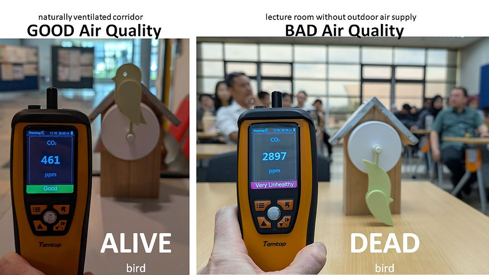 Healthy Work Spaces - and a dead canary bird! 