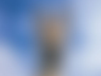 The Lord opened the mouth of the Donkey...