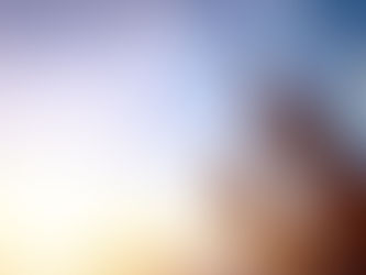 How Do You Tell a True Prophet from a False one?